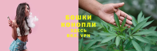стаф Михайловск
