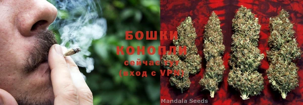 кокс Михайлов