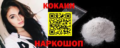 индика Камышлов