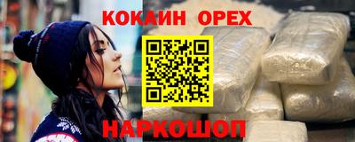 индика Камышлов