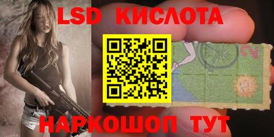 ГАЛЛЮЦИНОГЕННЫЕ ГРИБЫ Кандалакша