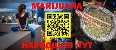 индика Камышлов
