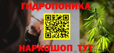ГАЛЛЮЦИНОГЕННЫЕ ГРИБЫ Кандалакша
