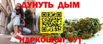 индика Камышлов