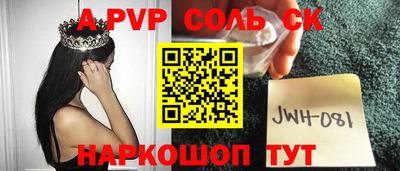 индика Камышлов