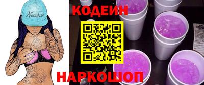 индика Камышлов
