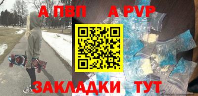 индика Камышлов
