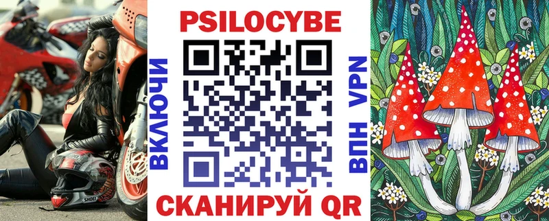 Псилоцибиновые грибы Psilocybine cubensis  купить наркотик  Черняховск 