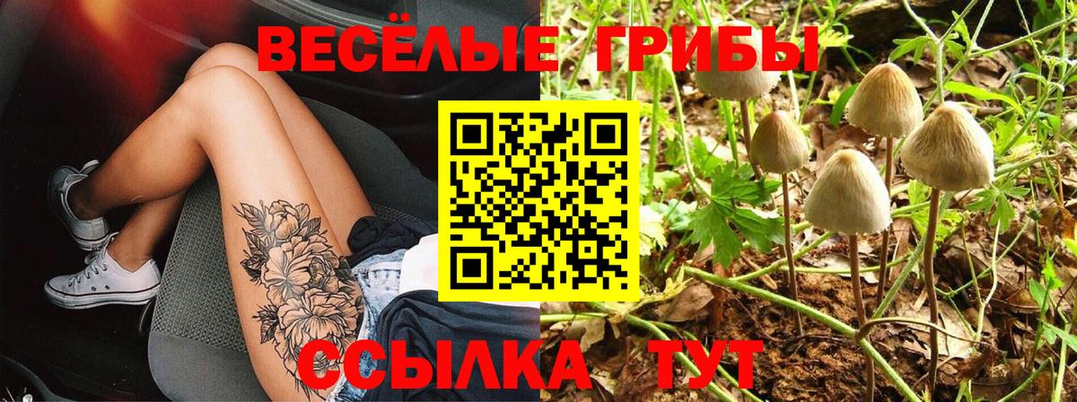 Черняховск  Галлюциногенные грибы прущие грибы  Вход с VPN 