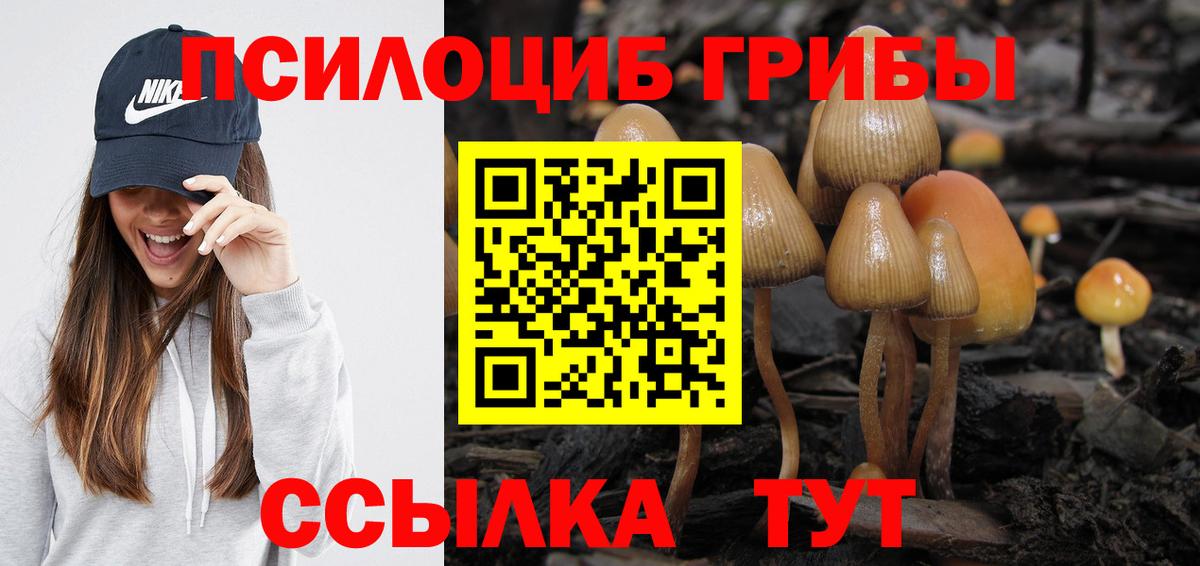 Галлюциногенные грибы Cubensis Черняховск