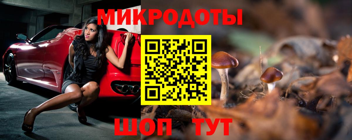 Галлюциногенные грибы Psilocybine cubensis  Галлюциногенные грибы ЛСД  Черняховск 