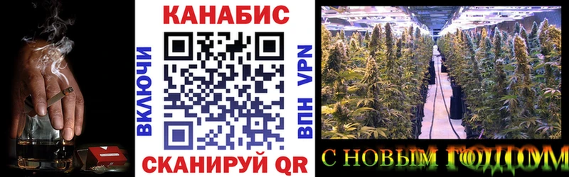 Бошки Шишки Amnesia  Черняховск 